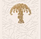 The Order of Celebrating Matrimony