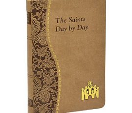 185-19 Saints Day By Day