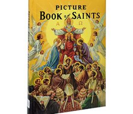 235-22 Book of Saints