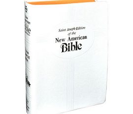 609-10W Bible