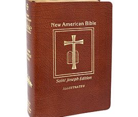609-13BN Bible