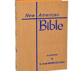 609-67BN Bible