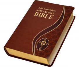 616-19BN Giant Type Bible