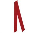 F1 Confirmation Scarf