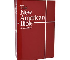 W2401-04 Bible