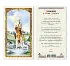 hc9-054s St. Lazarus Holy Cards