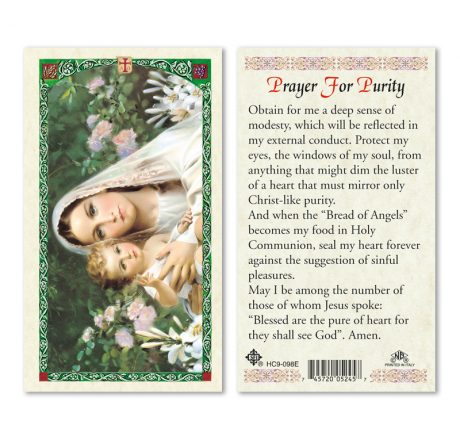 hc9-098e Purity Holy Cards