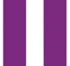 Purple Overlay Stole