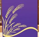 6804 Binder