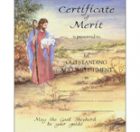 Merit Certificate