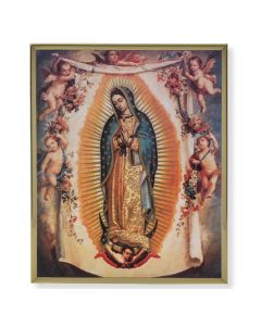 Our Lady of Guadalupe Picture