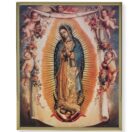 Our Lady of Guadalupe Picture