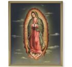 Our Lady of Guadalupe Picture