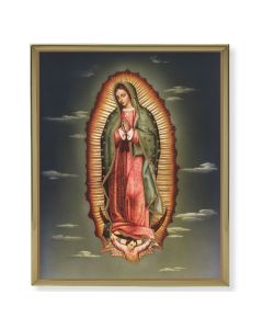 Our Lady of Guadalupe Picture