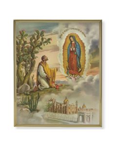 Our Lady of Guadalupe Picture