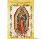 Our Lady of Guadalupe Novena Books