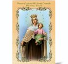 Our Lady of Mt. Carmel Novena Book