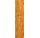 Paschal Candlestick