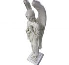 Somber Angel