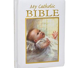 Baptism Bible