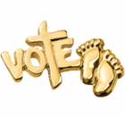 Vote Lapel Pins