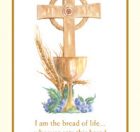 Communion Holy Cards