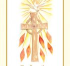 Confirmation Bulletin