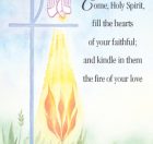 Confirmation Bulletin