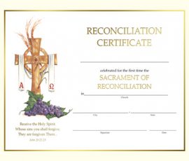 Reconciliation Certificate