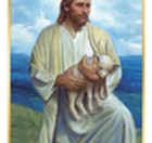 Mass Cards