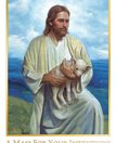 Mass Cards