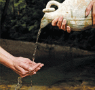 Stewardship Pamphlets