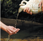 Stewardship Pamphlets