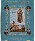 Our Lady of Guadalupe Banner