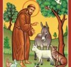 St. Francis Paryer Card