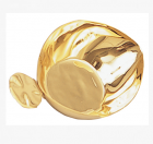 Baptism Shell