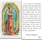 Our Lady of Guadalupe Holy Cards