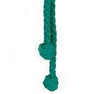 Cincture