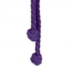 Cincture