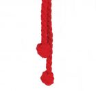 Cincture