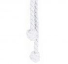 Cincture