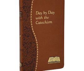 Day by Day with the Catechism