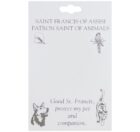 St. Francis Dog Medal