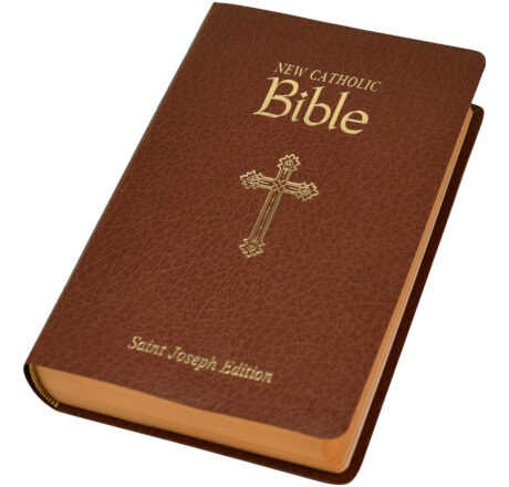 Brown Bible