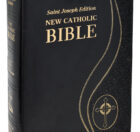 Giant Type Bible