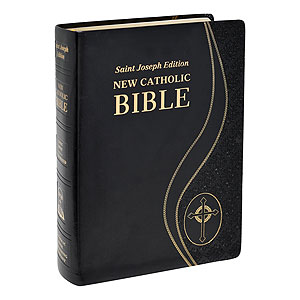 Giant Type Bible