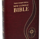 Giant Type Bible