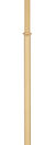 Processional Torch