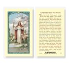 Comfort for Those Who Mourn Holy Card