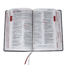 Divine Mercy Bible